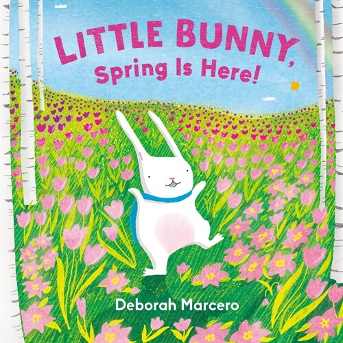 Little Bunny, Spring Is Here! (Board Books)