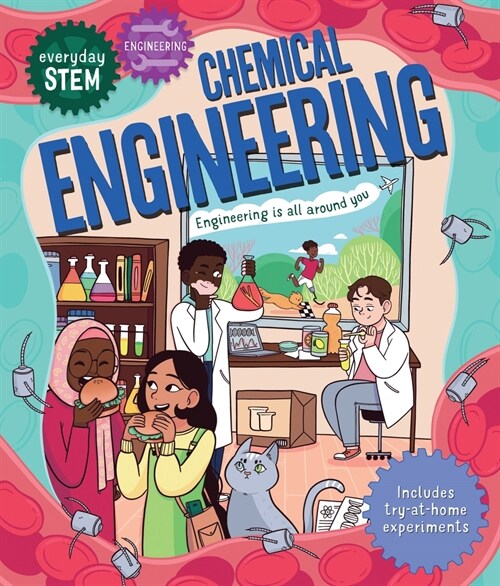 Everyday Stem Engineering--Chemical Engineering (Paperback)