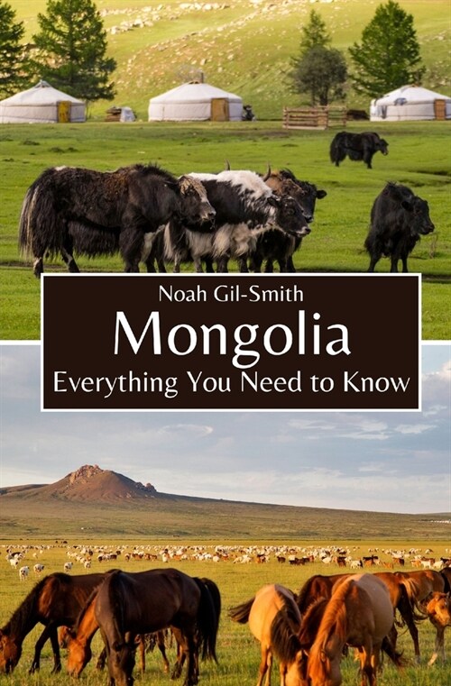 Mongolia: Everything You Need to Know (Paperback)