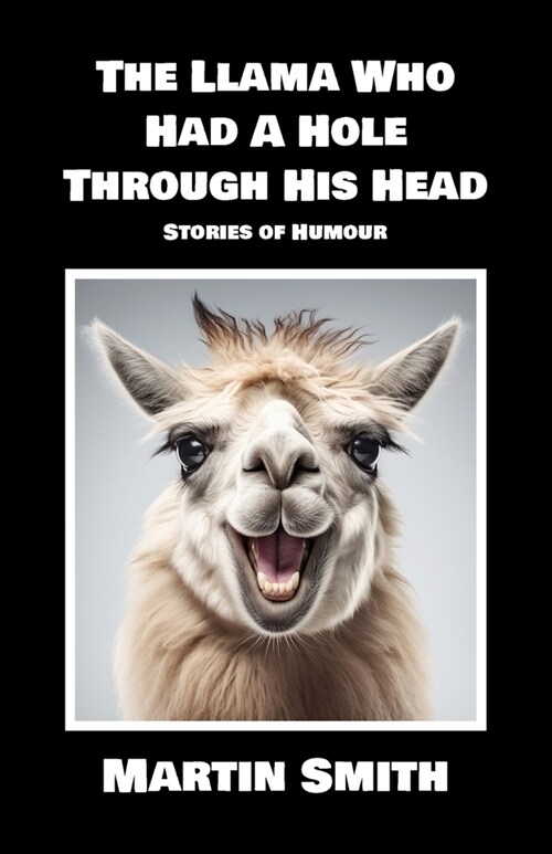 The Llama Who Had A Hole Through His Head: Stories of Humour (Paperback)