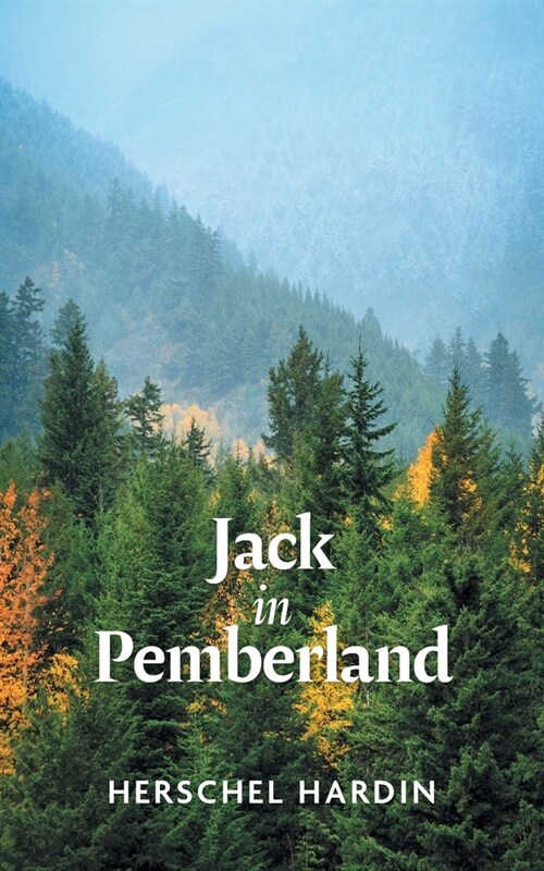 Jack in Pemberland (Paperback)
