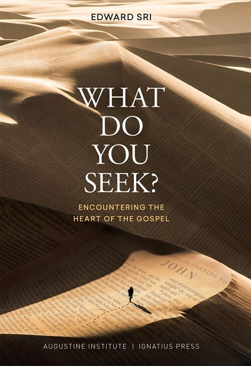 What Do You Seek?: Encountering the Heart of the Gospel (Paperback)