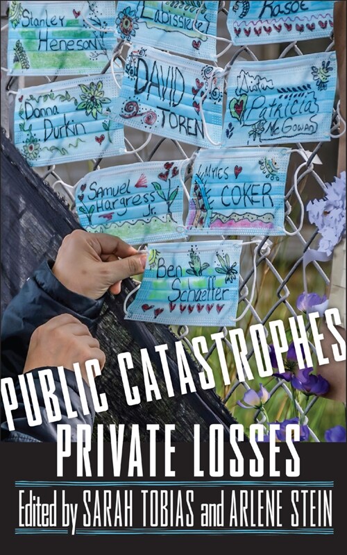 Public Catastrophes, Private Losses (Hardcover)