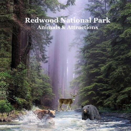 Redwood National Park Animals and Attractions Kids Book: Great Way for Children to See Redwood National and State Parks (Paperback)