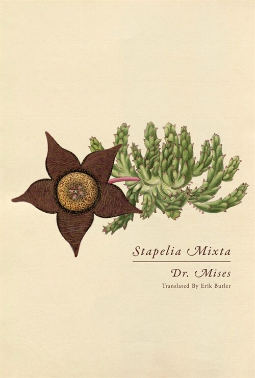 Stapelia Mixta (Paperback)