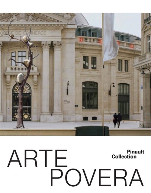 Arte Povera (Hardcover)