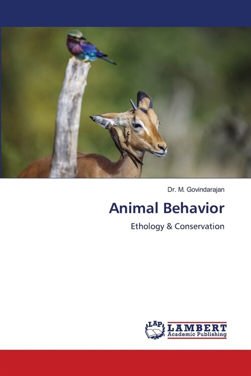 Animal Behavior (Paperback)