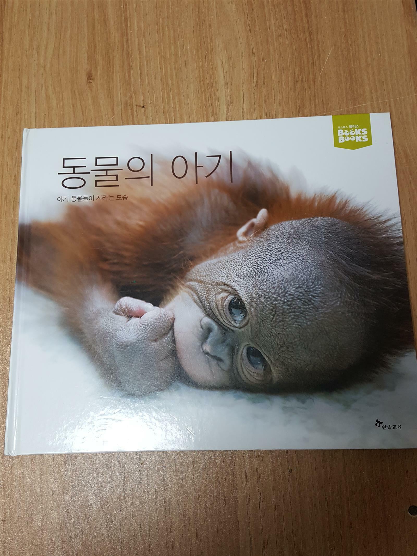 [중고] 동물의 아기 - 북스북스