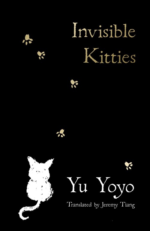 Invisible Kitties (Paperback)