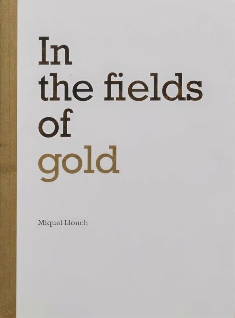 In the fields of gold (Paperback)