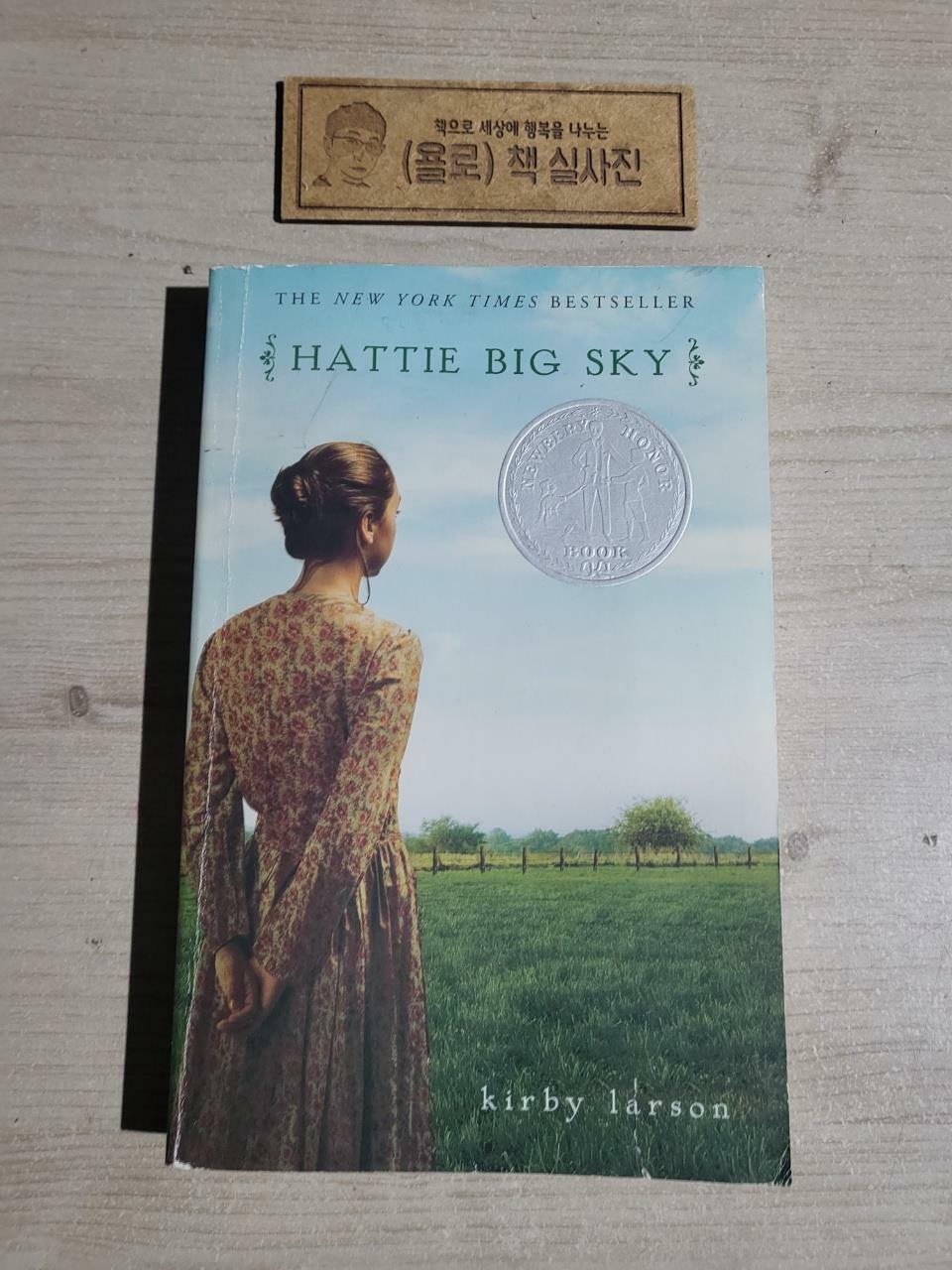 [중고] Hattie Big Sky (Paperback)