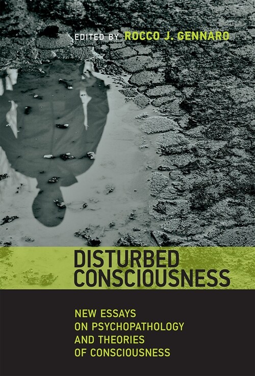 Disturbed Consciousness: New Essays on Psychopathology and Theories of Consciousness (Paperback)