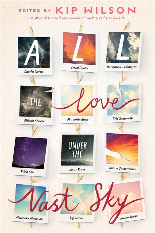 All the Love Under the Vast Sky (Hardcover)