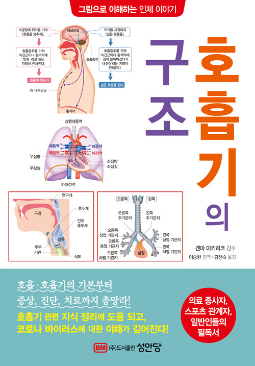 호흡기의 구조