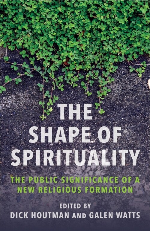 The Shape of Spirituality: The Public Significance of a New Religious Formation (Paperback)