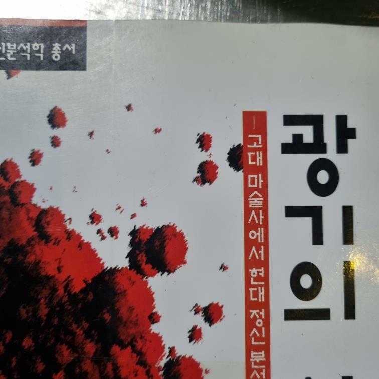 [중고] 광기의 사회사