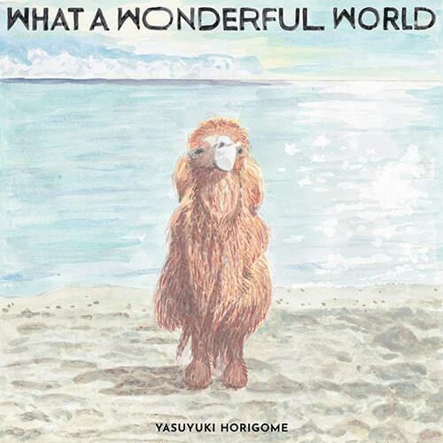 Horigome Yasuyuki - 2집 What A Wonderful World 