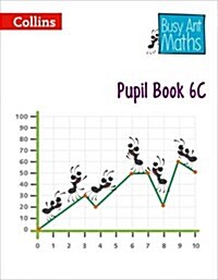 Pupil Book 6C (Paperback)