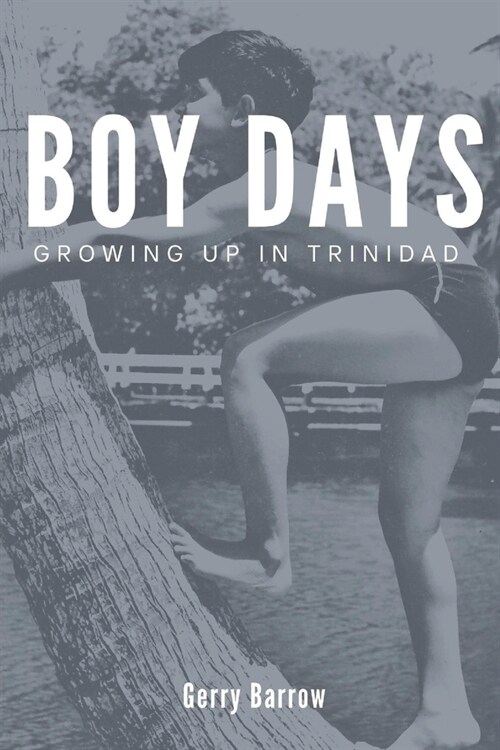 Boy Days (Paperback)