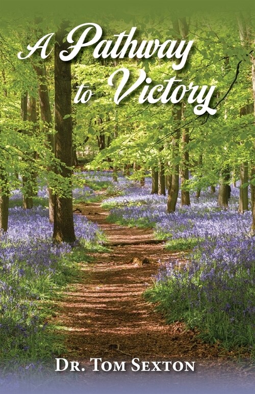 A Pathway to Victory (Paperback)