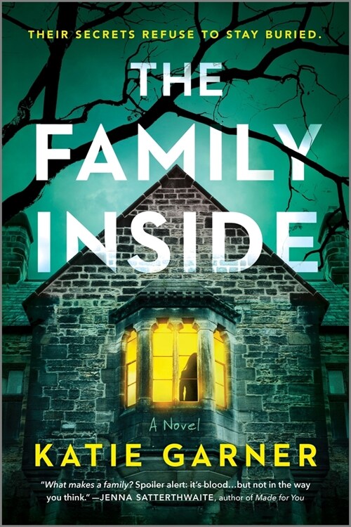 The Family Inside (Paperback, Original)