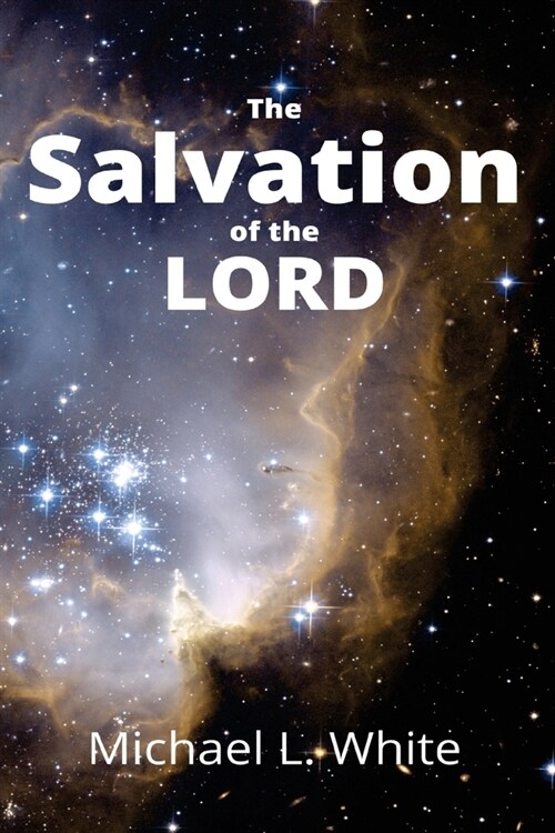 The Salvation of the LORD (Paperback, 2)