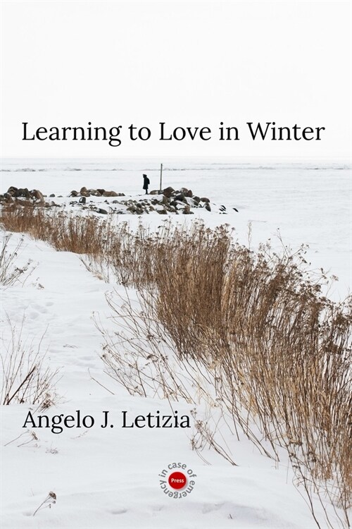 Learning to Love in Winter (Paperback)