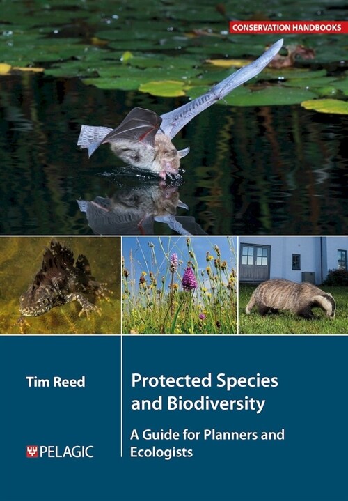 Protected Species and Biodiversity : A Guide for Planners and Ecologists (Paperback)