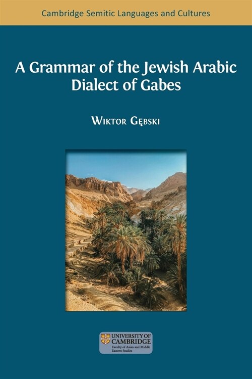 A Grammar of the Jewish Arabic Dialect of Gabes (Paperback)