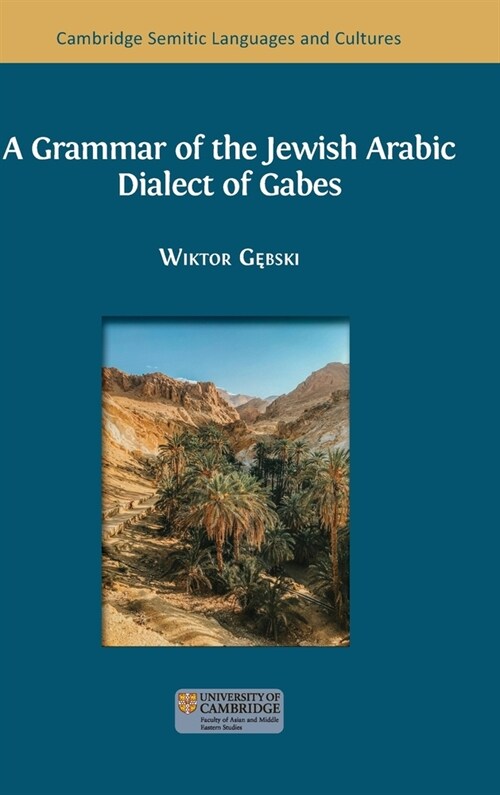 A Grammar of the Jewish Arabic Dialect of Gabes (Hardcover)