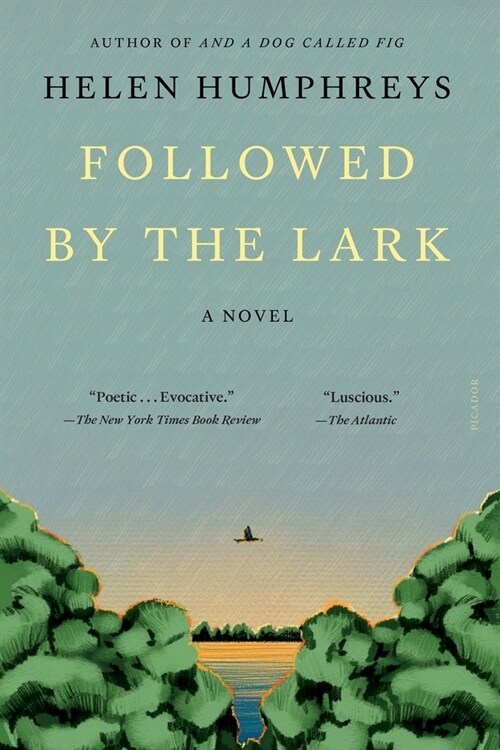 Followed by the Lark (Paperback)