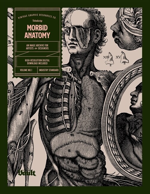 Morbid Anatomy (Paperback)
