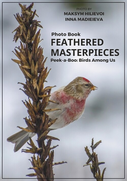 Photo Book Feathered Masterpieces: Peek-a-Boo: Birds Among Us (Paperback)