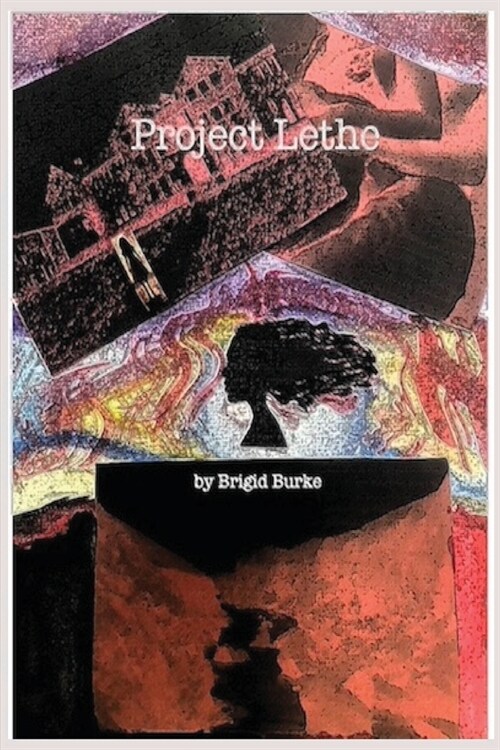Project Lethe (Paperback)