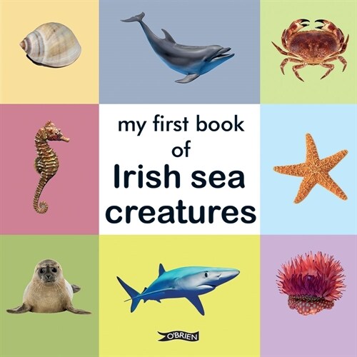 My First Book of Irish Sea Creatures (Hardcover)