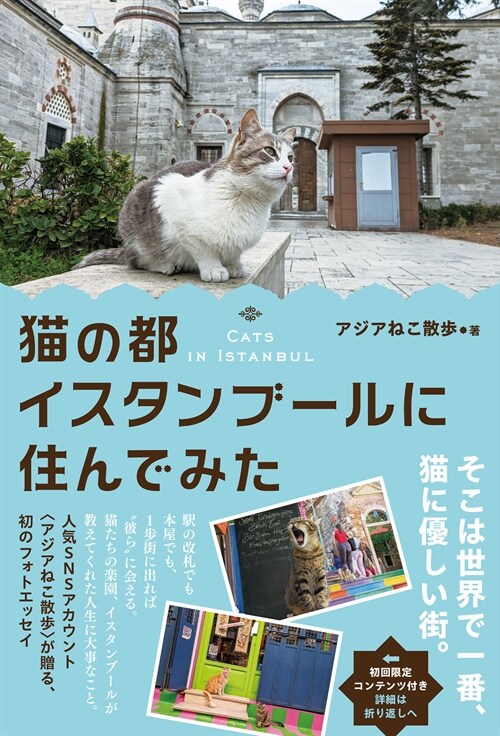 猫の都イスタンブ-ルに住んでみた