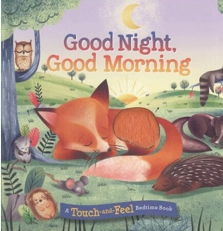 Good Night, Good Morning: A Touch-and-Feel Bedtime Book (Board Book)