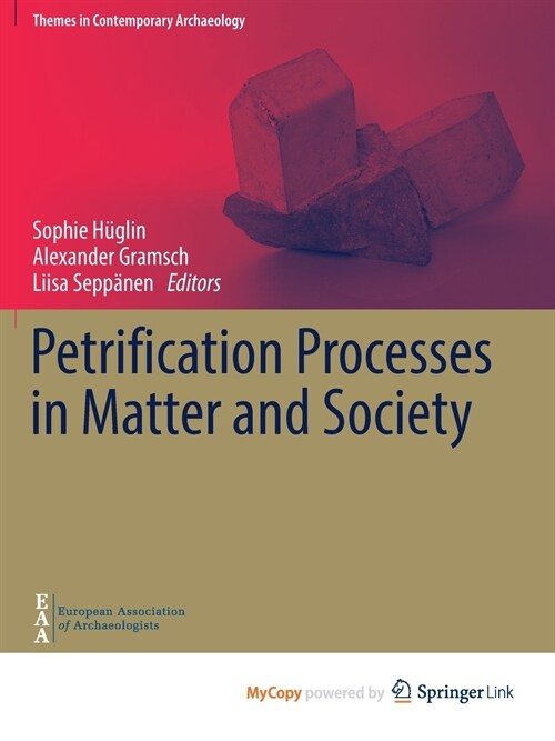 Petrification Processes in Matter and Society (Paperback)