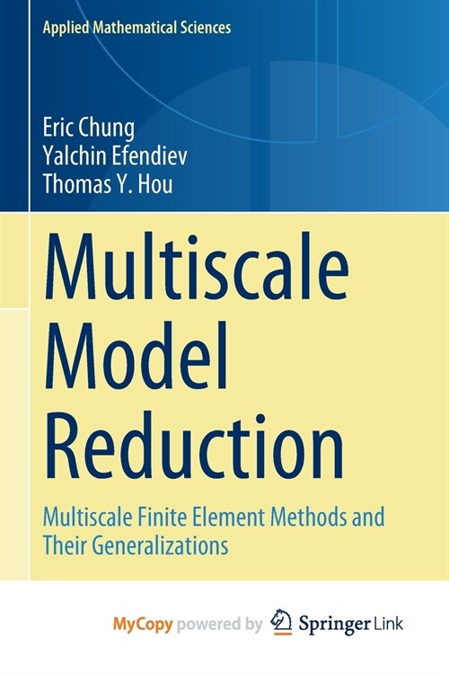 Multiscale Model Reduction (Paperback)