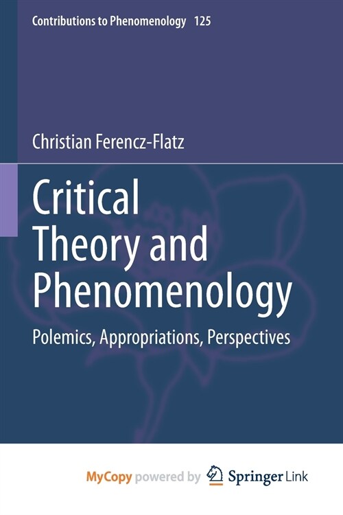 Critical Theory and Phenomenology (Paperback)