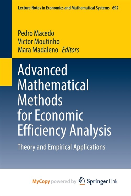 Advanced Mathematical Methods for Economic Efficiency Analysis (Paperback)