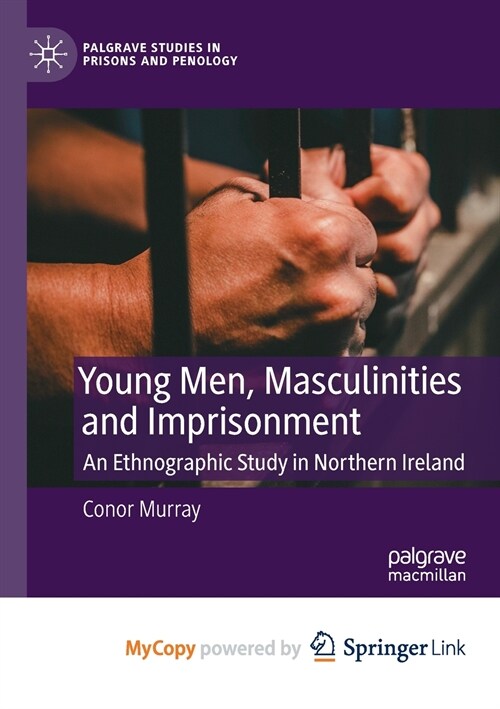 Young Men, Masculinities and Imprisonment (Paperback)