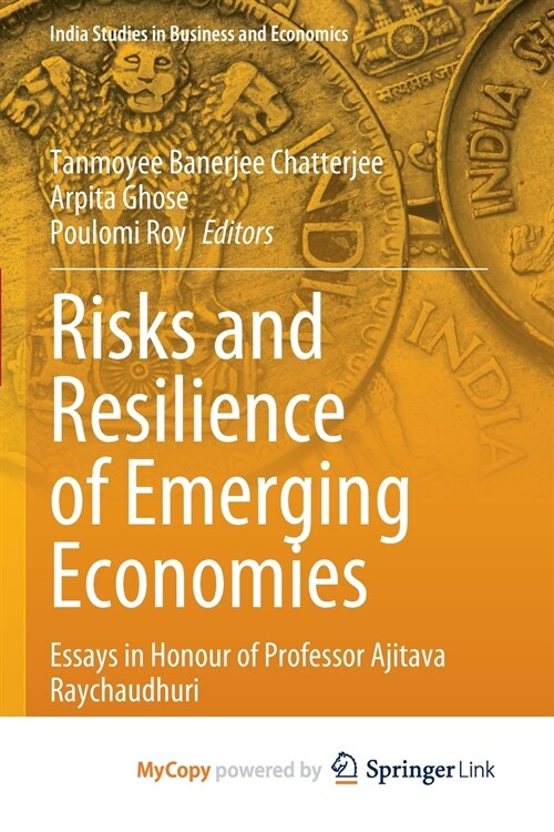 Risks and Resilience of Emerging Economies (Paperback)