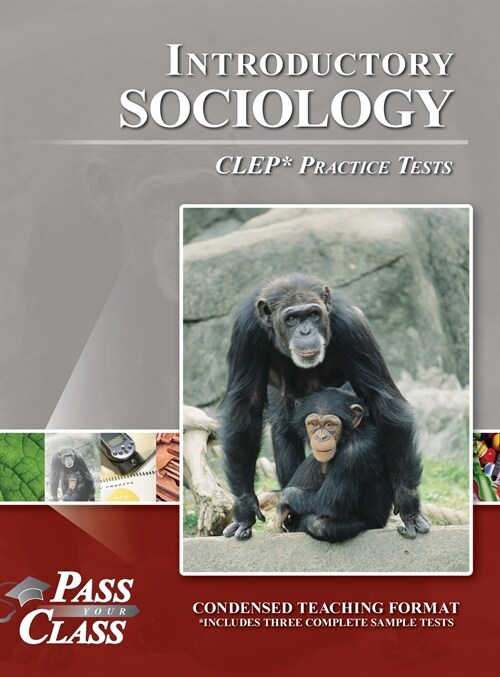 Introductory Sociology CLEP Practice Tests (Hardcover)