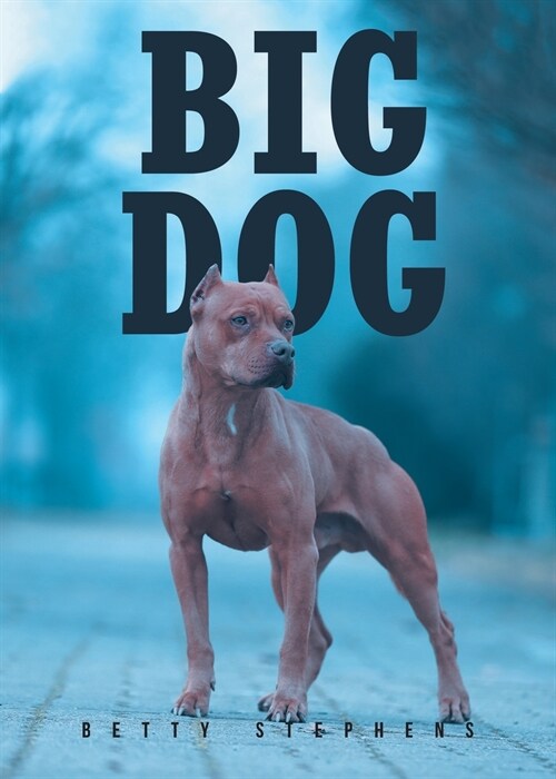 BIG DOG (Paperback)