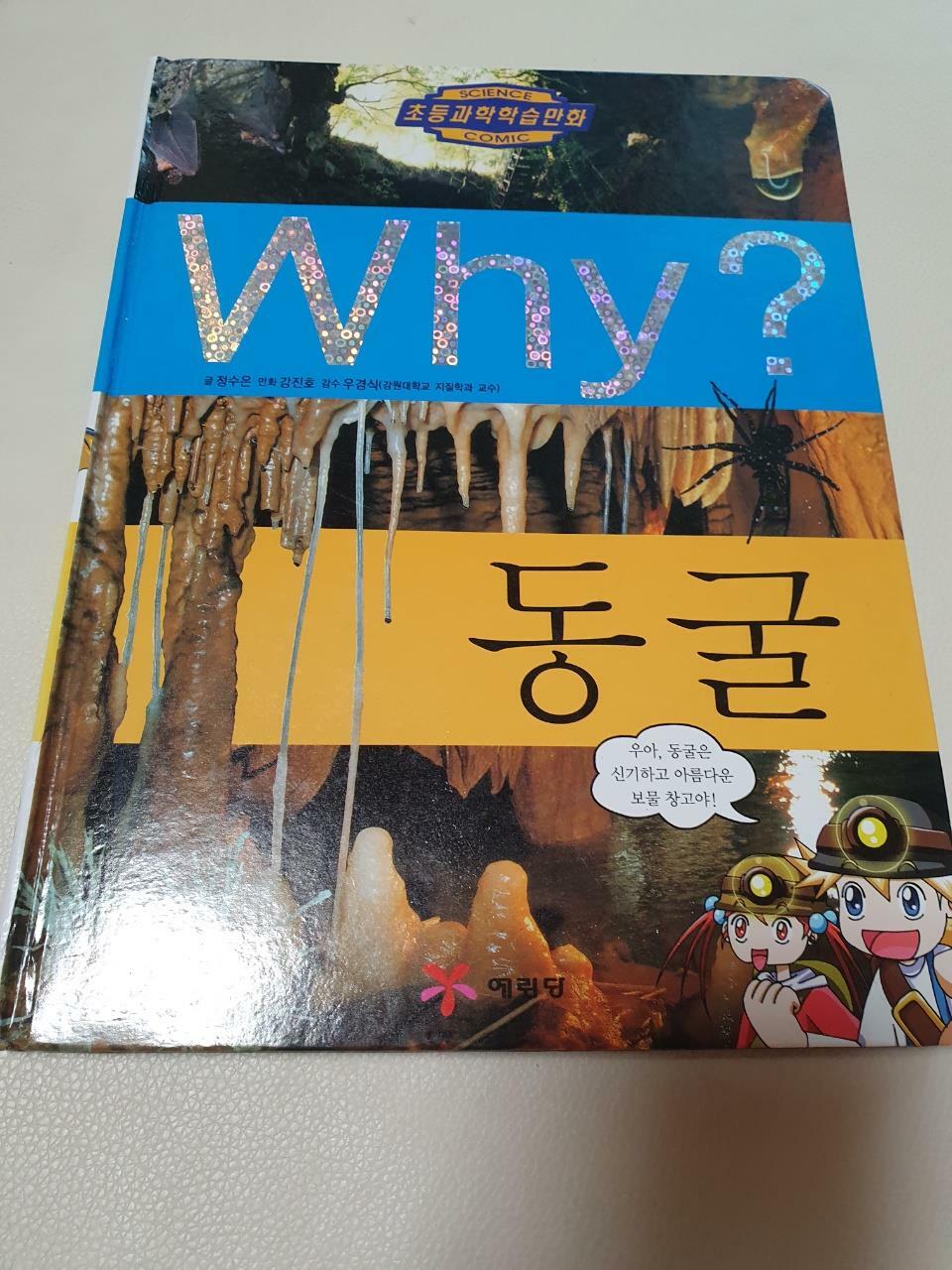 [중고] Why? 동굴