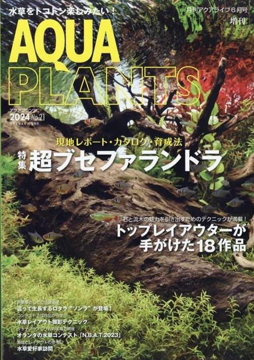AQUA PLANTS (アクアプランツ) No.21 [雜誌]