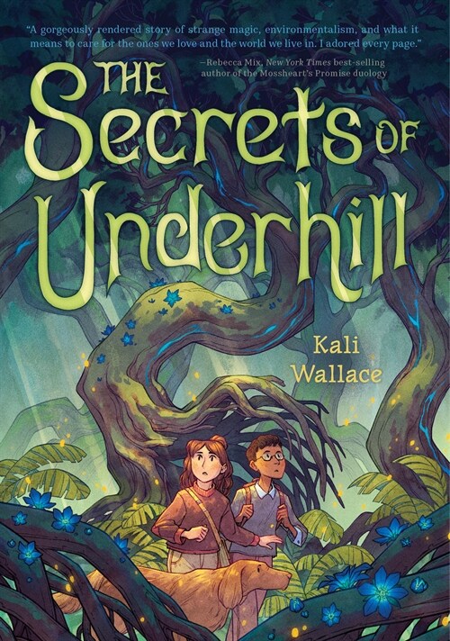 The Secrets of Underhill (Hardcover)