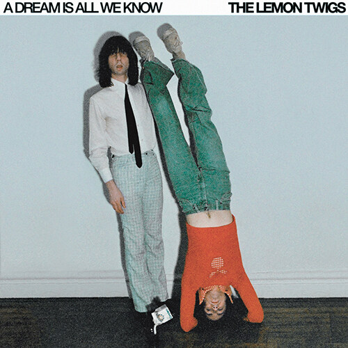 [수입] The Lemon Twigs - A Dream Is All We Know