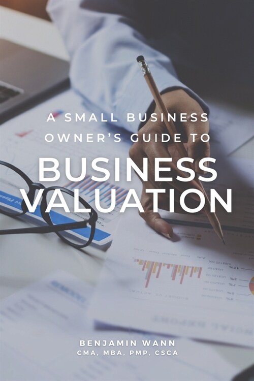 A Small Business Owners Guide to Business Valuation (Paperback)
